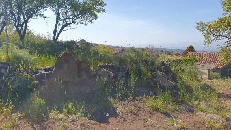 Terreno agrícola em Biancavilla