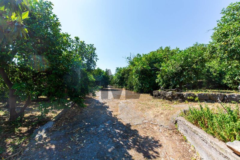 Landwirtschaftliche Fläche in Aci Catena