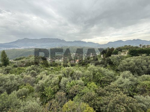 Terreno agrícola en Monreale