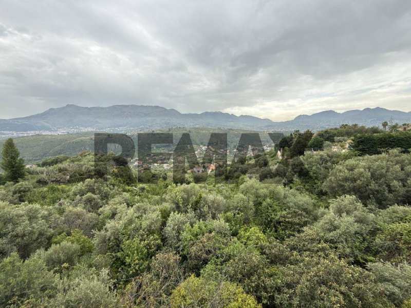 Terreno agrícola en Monreale