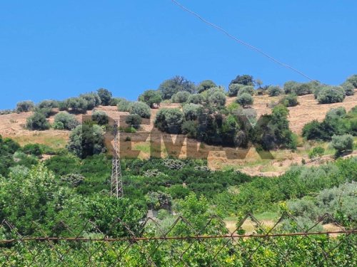 Landbouwgrond in Calatabiano