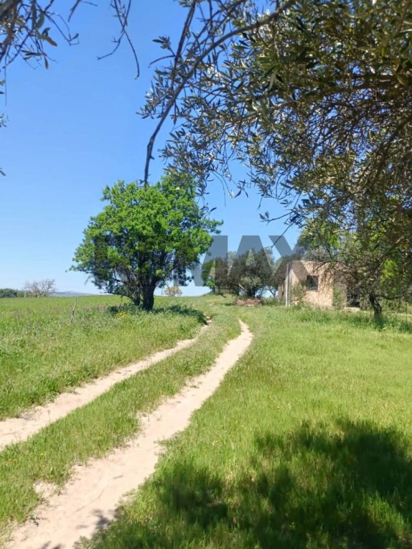 Terreno agrícola em Caltagirone