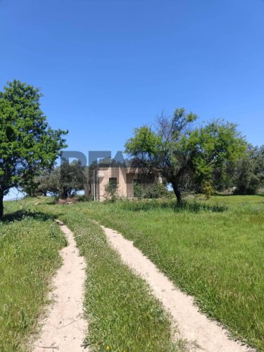 Terreno agrícola em Caltagirone