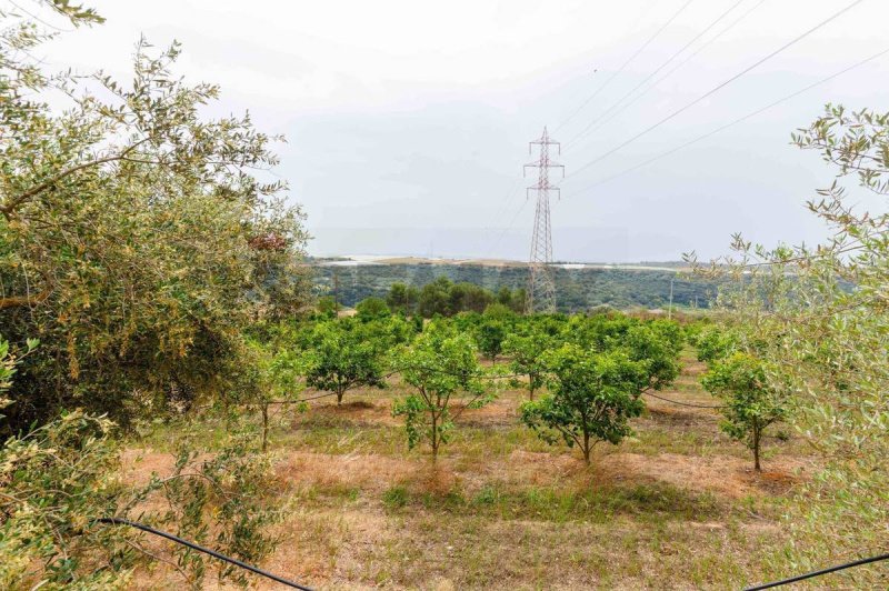 Jordbruksmark i Caltagirone