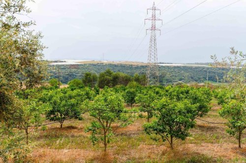 Jordbruksmark i Caltagirone