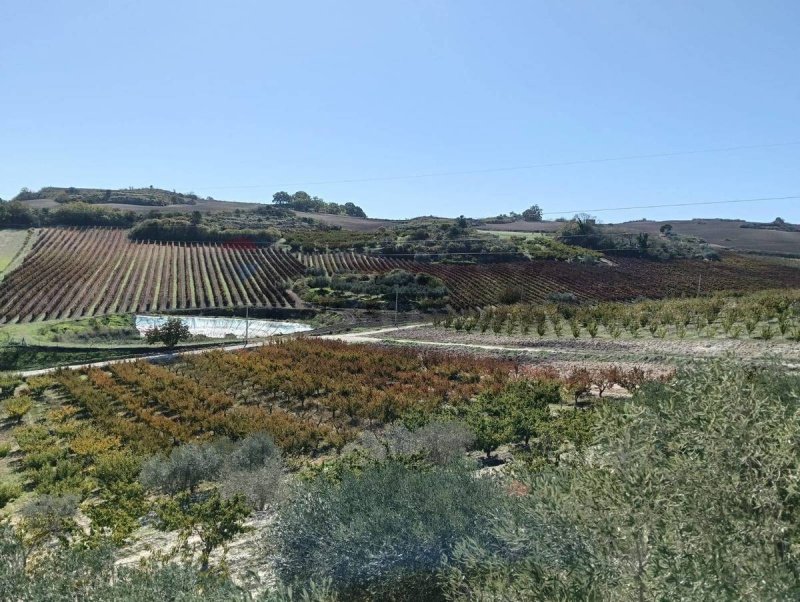 Jordbruksmark i Caltagirone