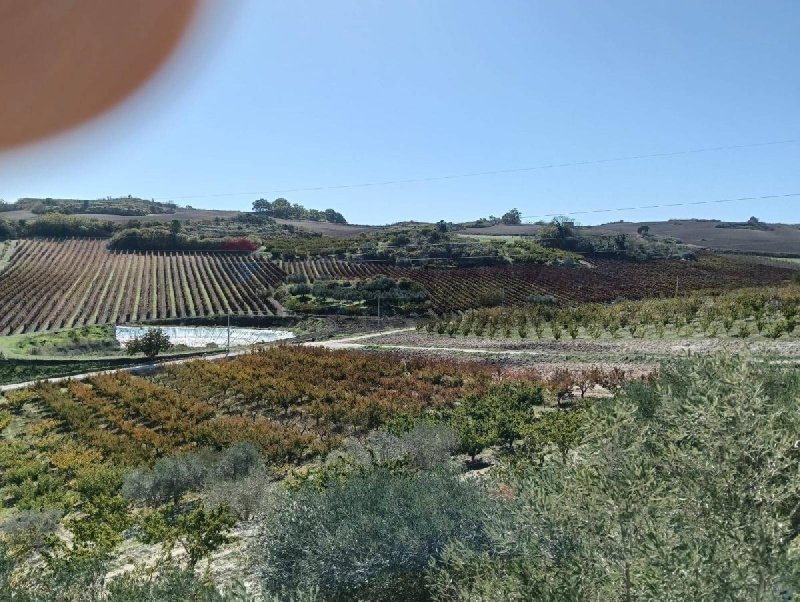 Jordbruksmark i Caltagirone