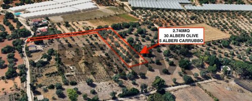 Terreno agrícola en Comiso