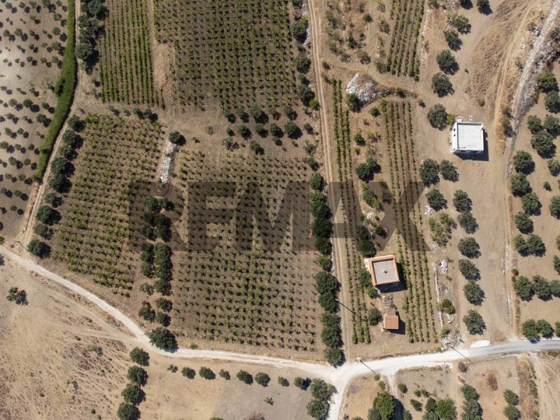 Landwirtschaftliche Fläche in Porto Empedocle