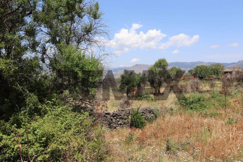 Terreno agrícola en Castiglione di Sicilia