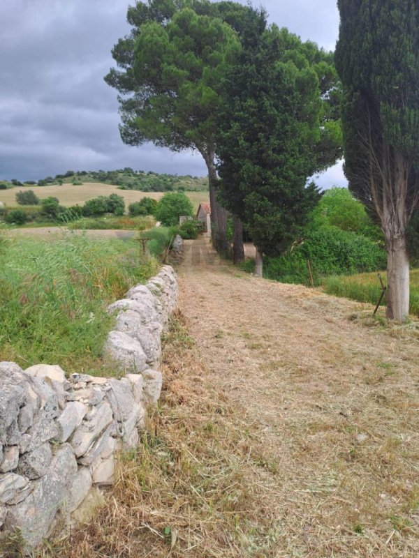 Terreno agrícola en Rosolini