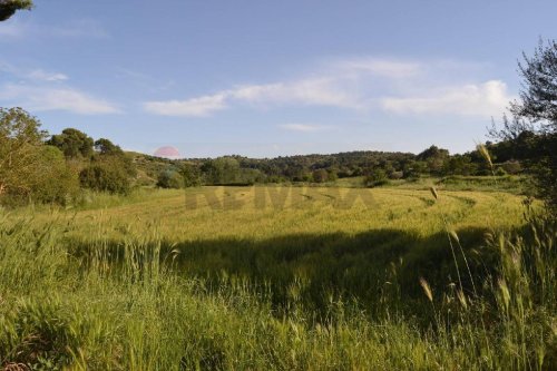Landwirtschaftliche Fläche in Rosolini