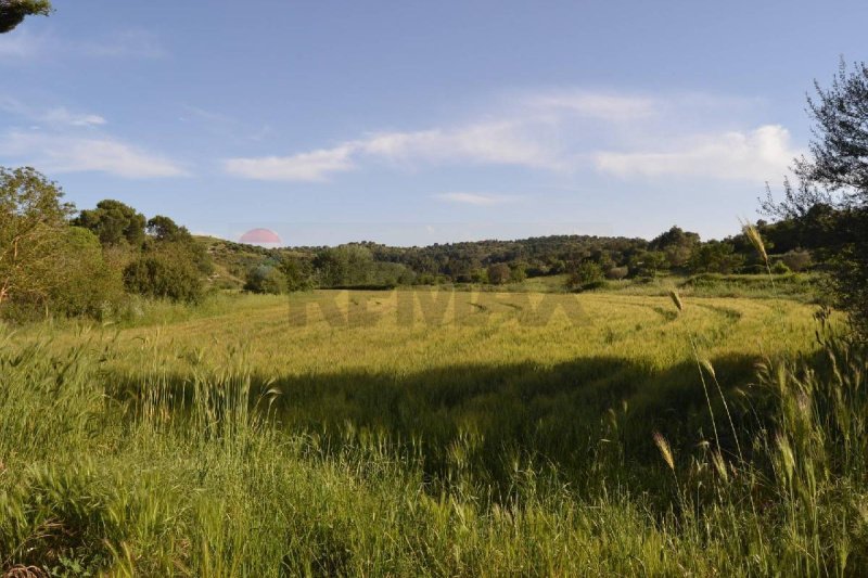 Terreno agrícola en Rosolini
