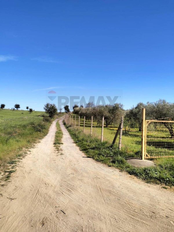 Terreno agrícola em Caltagirone