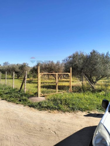 Terreno agrícola em Caltagirone