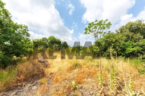 Terreno agrícola em Pedara