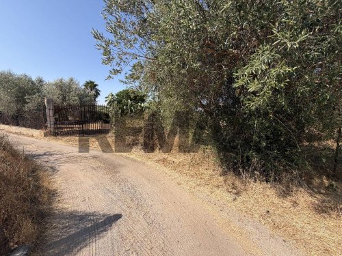 Jordbruksmark i Terrasini