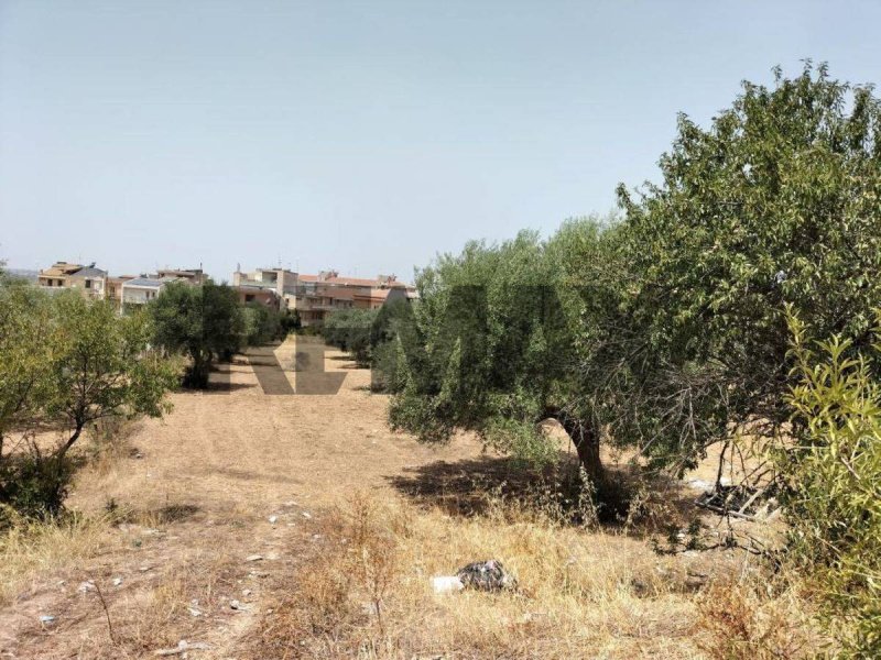 Jordbruksmark i Comiso