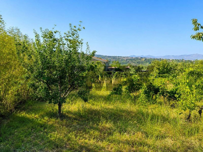 Terreno agrícola em Giarre