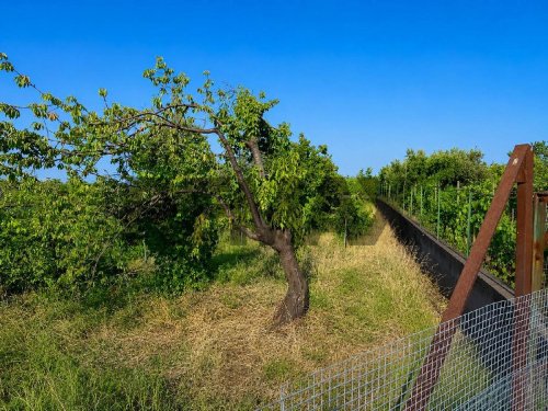 Terreno agrícola em Giarre