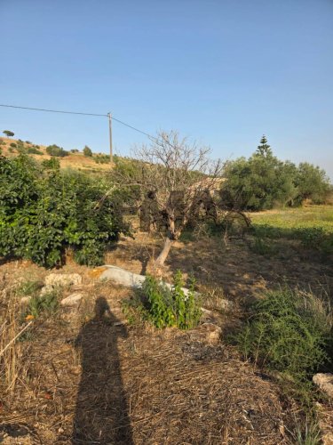 Jordbruksmark i Caltagirone