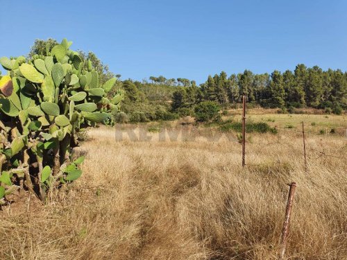 Terreno agrícola en Caltagirone