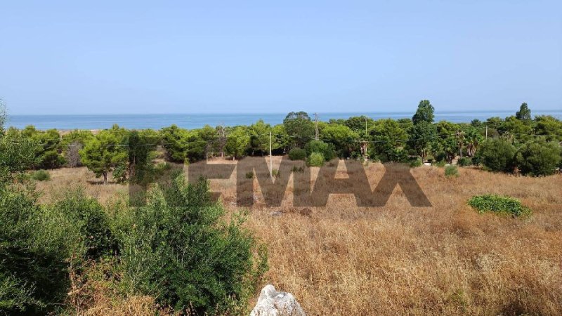 Landwirtschaftliche Fläche in San Vito Lo Capo