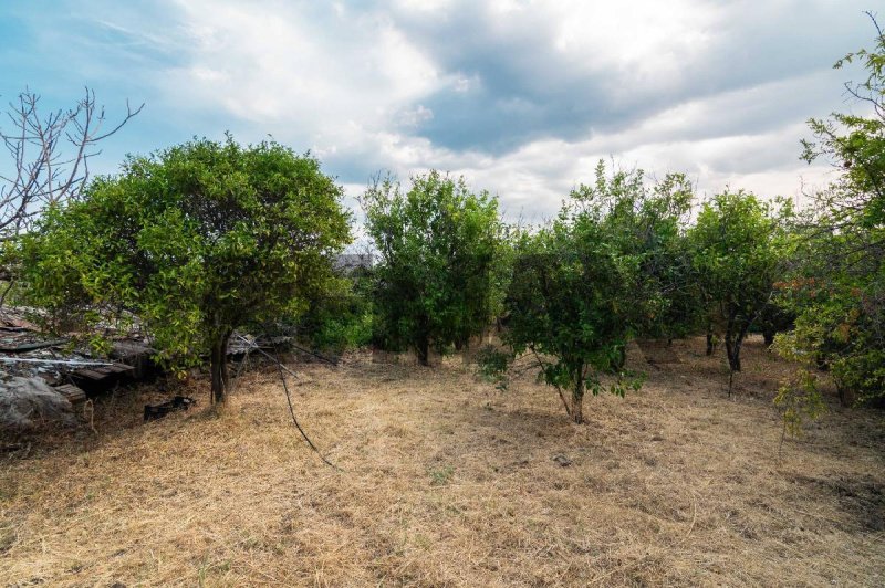 Terrain agricole à Acireale
