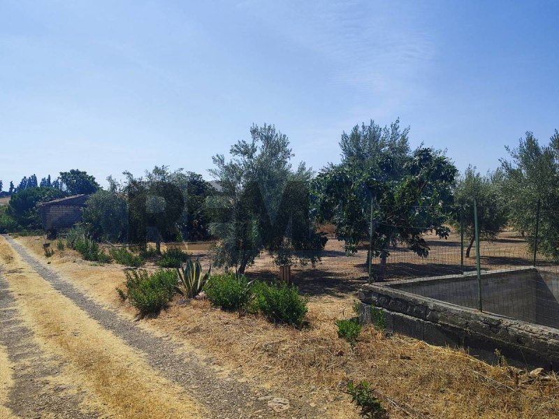 Terrain agricole à Motta Sant'Anastasia