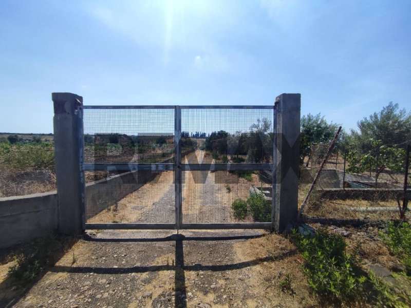 Terrain agricole à Motta Sant'Anastasia