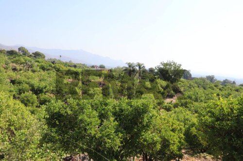 Terrain agricole à Mascali