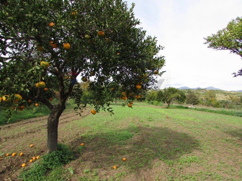 Landbouwgrond in Fiumefreddo di Sicilia