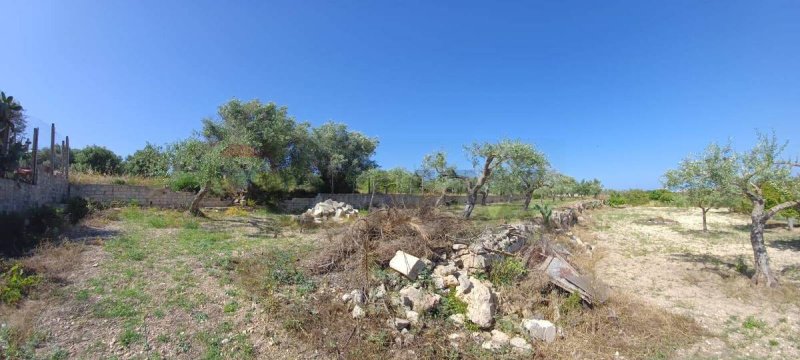 Terreno agricolo a Pachino