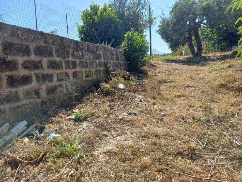 Terreno agricolo a Pachino