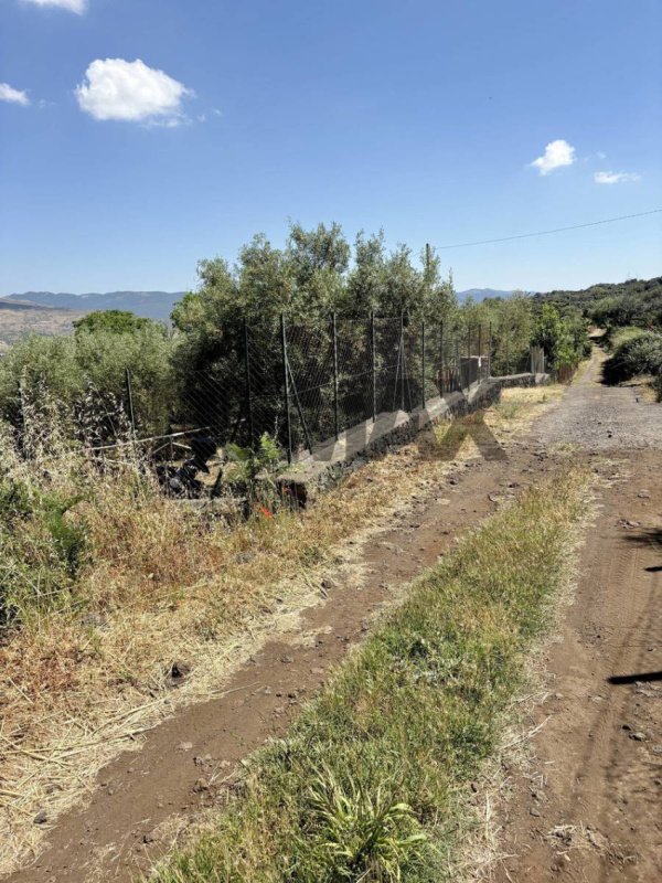 Terreno agrícola em Bronte