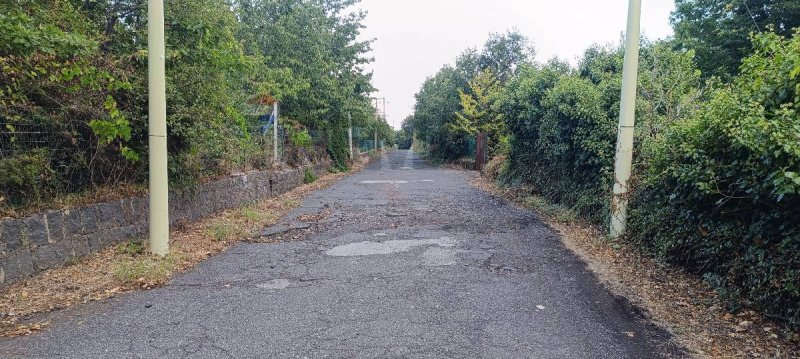 Terreno agricolo a Sant'Alfio