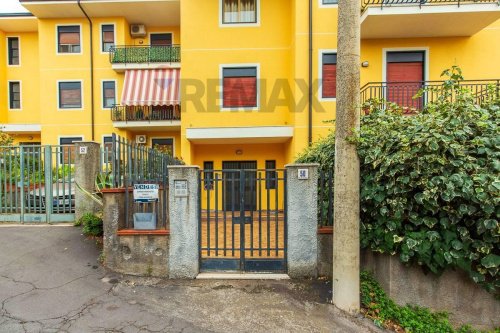 Apartamento em Pedara