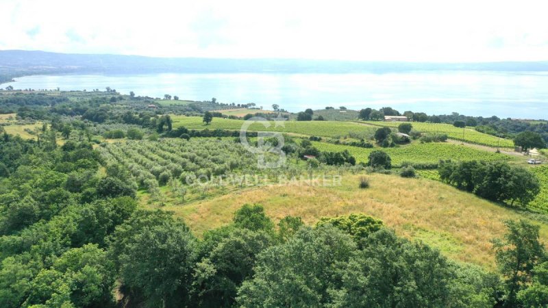 Terrain agricole à Gradoli