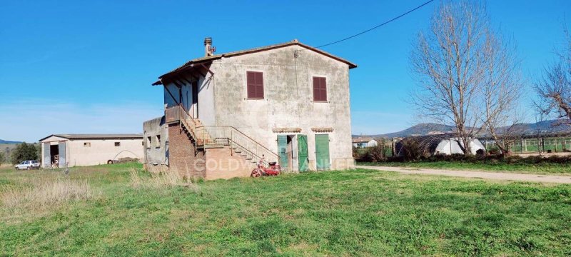 Lantställe i Montalto di Castro