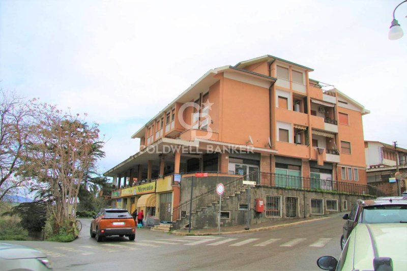 Gewerbeimmobilie in Montalto di Castro