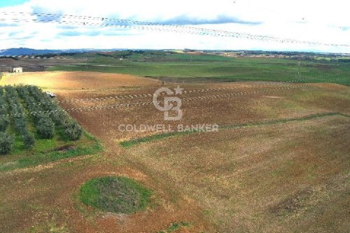Terreno agrícola en Montalto di Castro