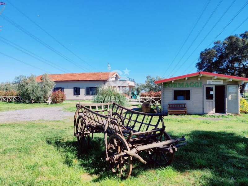 Villa i Montalto di Castro