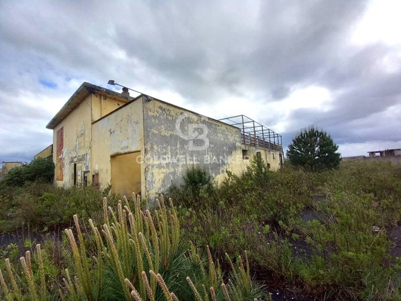 Commercial property in Tuscania