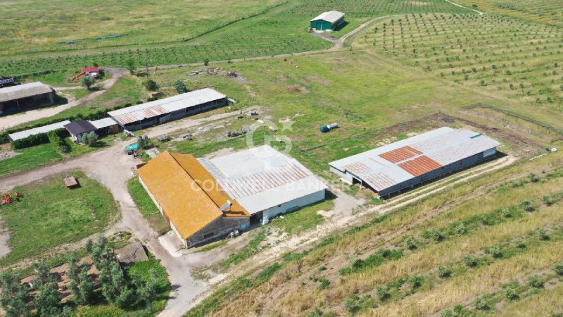 Edifício comercial em Montalto di Castro