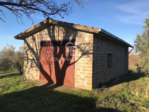 Terreno agrícola em Farnese