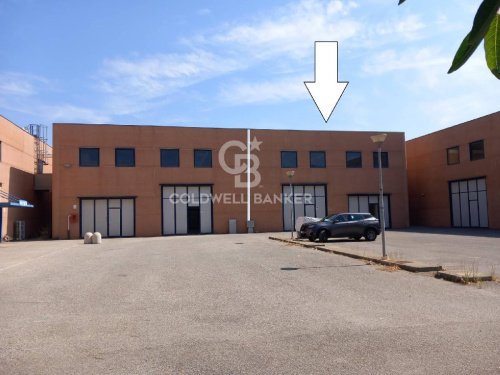 Commercial property in Orbetello