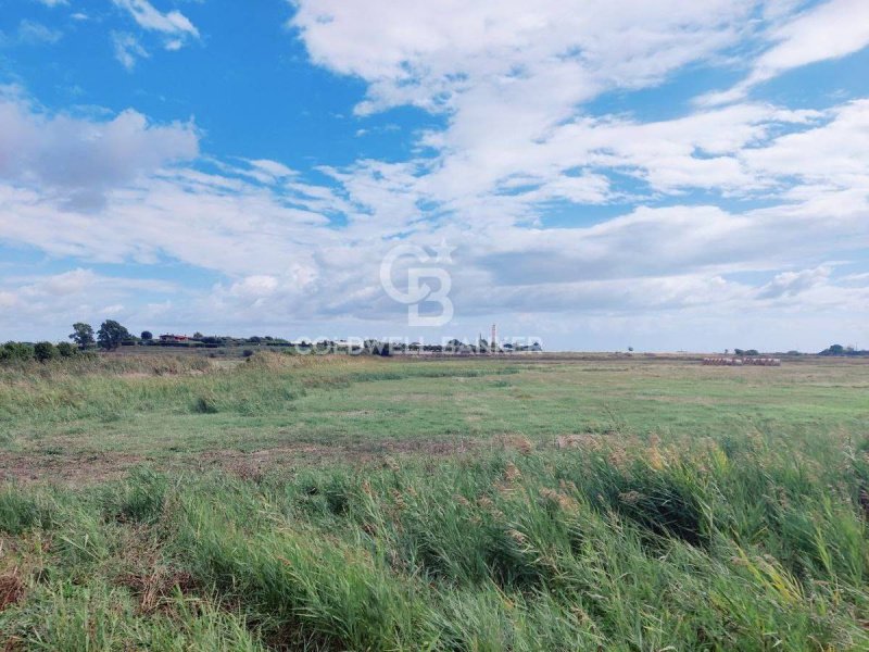 Terreno agricolo a Montalto di Castro