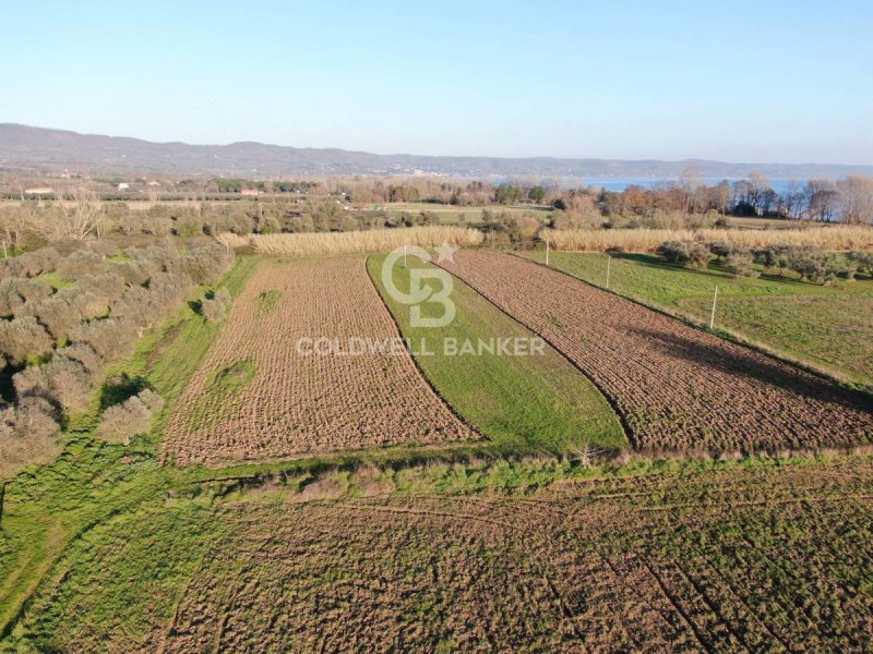 Landwirtschaftliche Fläche in San Lorenzo Nuovo