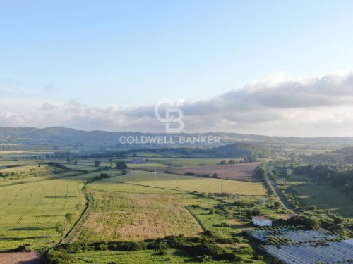 Terreno agrícola em Latera