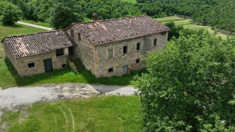 Lantställe i Città di Castello